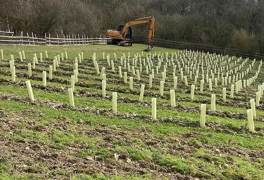 Vineyard Preparation and Management