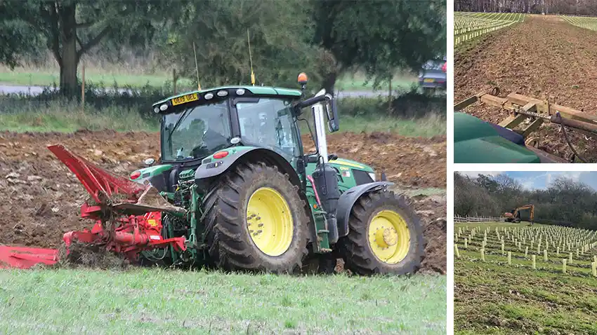 Vineyard Ground Preparation