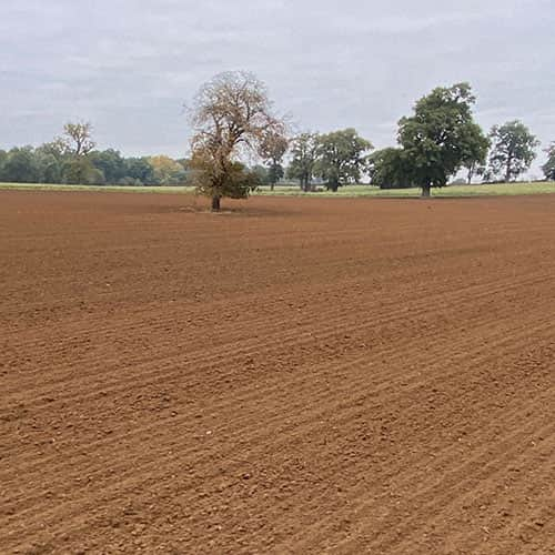 Arable Preparation